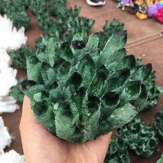 a hand holding up a green plant with lots of dirt on it's surface