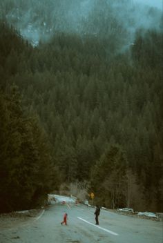 two people are walking down the road in front of some trees and foggy mountains