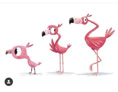 three pink flamingos standing next to each other on top of a white background with the caption's name