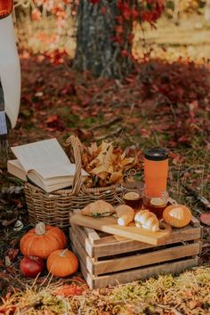 some pumpkins and books are on the ground