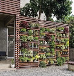 a wooden fence with plants growing on it and a bench next to it in front of a building