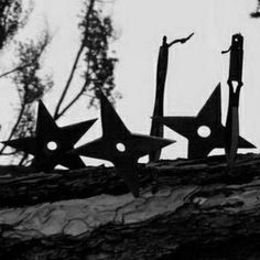 four metal stars are sitting on top of a tree branch in black and white photo