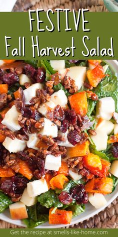 festive fall harvest salad with apples, cranberries and feta cheese on top