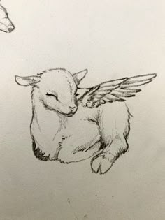 a pencil drawing of a sleeping animal with wings