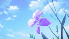 a purple flower sitting on top of a lush green field under a blue cloudy sky