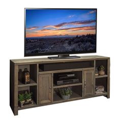 an entertainment center with a flat screen tv on it's stand and plants in pots