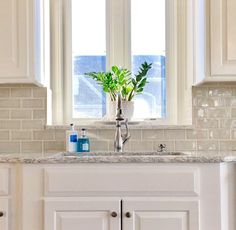 a white kitchen with two windows and a sink in front of the window is a potted plant