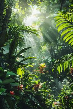 the sun shines through tropical trees and plants