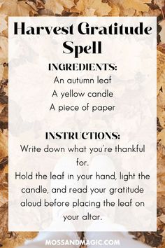 Celebrate the harvest season by counting your blessings with this gratitude spell. Simple, heartwarming, and perfect for autumn. 🍁💛 #GratitudeSpell #HarvestMagic #ThankfulWitch Gratitude Spell, Witch Spells, Herbal Remedies Recipes, Yellow Candles, Witch Craft, Witch Spell, Harvest Season, The Harvest, Herbal Remedies