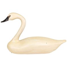 an image of a white swan on a white background