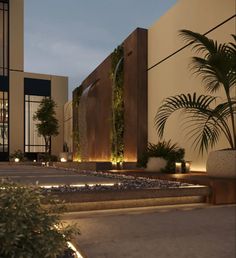 an exterior view of a modern building with plants and lights on the steps leading up to it