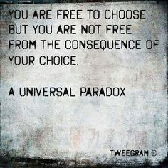 there is a sign that says you are free to choose but you are not free from the convenience of your choice