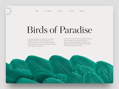 the birds of paradise website is displayed on a white background with green feathers in it