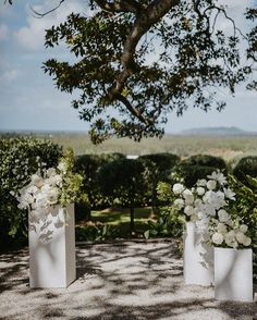 two white vases filled with flowers sitting on top of a cement slab near a tree