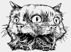 a black and white drawing of a cat's face with two large, round eyes