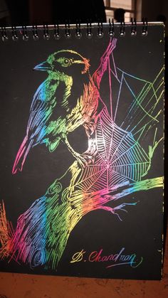 a colorful drawing of a bird on a black background