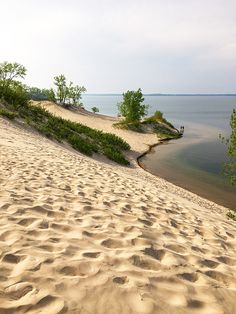 there is a bench on the sand by the water