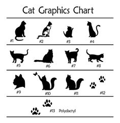 the cat graphics chart is shown in black and white, with cats'silhouettes