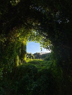 an open tunnel in the middle of a lush green forest