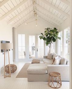 a living room with white walls and flooring has a plant in the middle of the couch