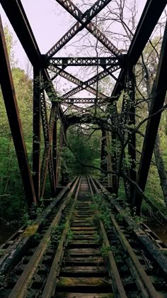 an old train track going through the woods