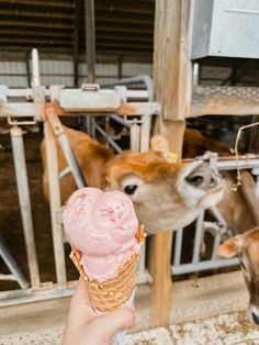 a hand holding an ice cream cone in front of a cow