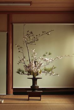 a vase filled with white flowers sitting on top of a wooden table next to a wall