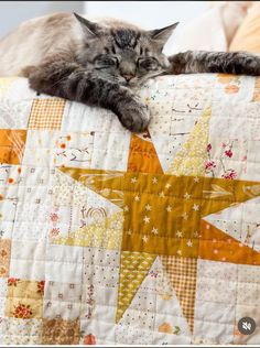 a cat is sleeping on top of a quilted pillow with star designs and stars