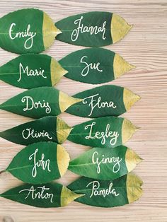 five leaves with names written on them