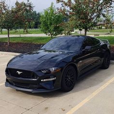 a black sports car parked in a parking lot next to some trees and bushes with red berries on them