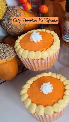 two pumpkin pies sitting on top of a table