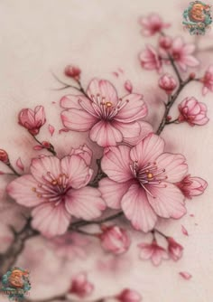 some pink flowers on a white surface