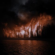 a large fire is burning in the sky over some water and pine trees at night