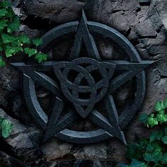 an image of a pentagramil surrounded by green plants and rocks in the background