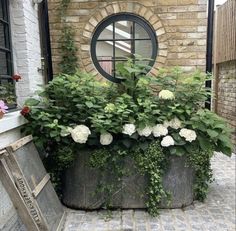 a potted planter filled with white flowers next to a brick wall and window