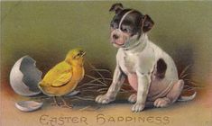 a dog sitting next to an egg and a bird