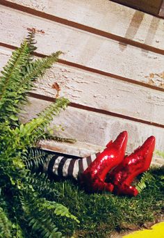 a pair of red shoes laying on the ground next to green plants and yellow fire hydrant