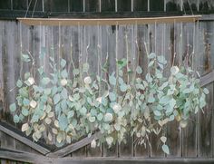 some green plants hanging from a wooden fence