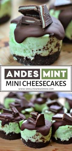 mint and chocolate mini cheesecakes on a cutting board with the title above it