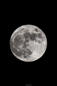 the full moon is visible in the dark sky