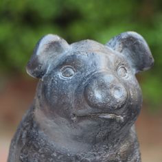 Cute siting pig statue. Highly detailed textured stone finish. Durable resin material for indoor and outdoor use. Perfect for flower bed, rock garden, patio or deck. Style Selections 8.88-in H x 6.63-in W Black Garden Statue | A06-864 Pig Statue, Black Garden, Garden Statue, Flower Bed, Resin Material, Garden Statues, Garden Patio, Rock Garden, Flower Beds