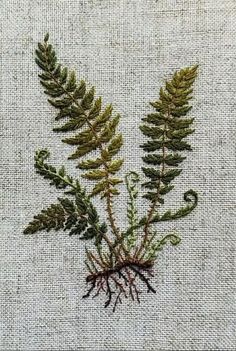 a close up of a plant on a piece of cloth