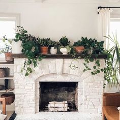 a living room with a fire place and potted plants on top of the fireplace