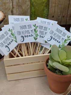 there are four thank you note cards in a wooden box next to a succulent plant