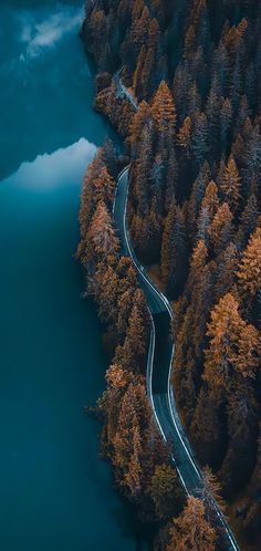 an aerial view of a winding road in the middle of a forest next to a body of water