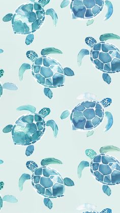 boho blue turtle wallpaper Background Phone Ideas, Cute Wallpapers Teal, Aesthetic Summer Vibes Wallpaper, Cute Summer Wallpapers For Phone, Aesthetic Wallpaper For Room Wall, Wallpaper Backgrounds Iphone Blue, Cute Summer Phone Wallpapers, Cute Blue Pictures, Blue Summer Wallpaper Iphone