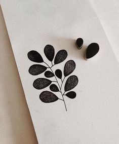 a drawing of a plant with leaves on it next to two black ink pens and a white sheet of paper