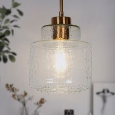 a clear glass light fixture hanging from a ceiling in a room with white walls and potted plants