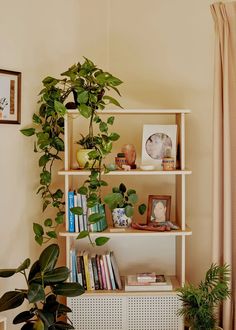 a living room filled with lots of plants and books on top of a white shelf