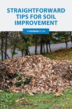 a pile of leaves with text overlay that reads straight forward tips for soil improvement